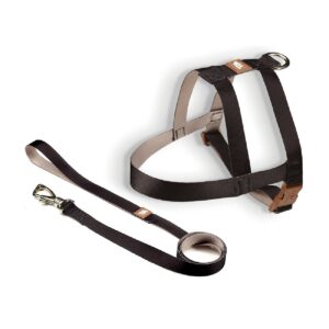 Guia peitoral em couro Baw waw Para Cães de medio porte