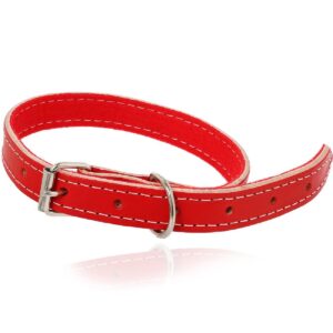 Coleira Baw waw em couro Reajustavel Para Cães