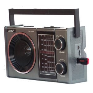Radio Am Fm Livstar Cnn-2589Br Bluetooth Usb Sd Pilha 110v 220v Recarregavel